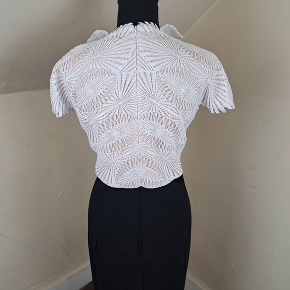 Tadashi Shoji Two Tone Lace Sheath Dress Size 16 - Picture 8 of 16